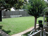 My grandmothers backyard.